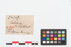 Etiketten zu Bronzespiraldrahtarmring (NHMW-PRAE-024847)